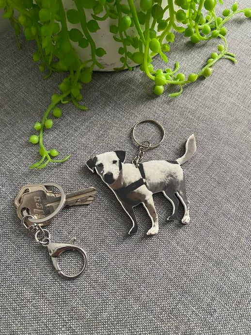 Puppy Keys